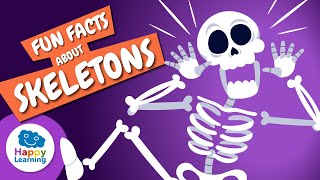 did you know human body has over 200 bones educational videos