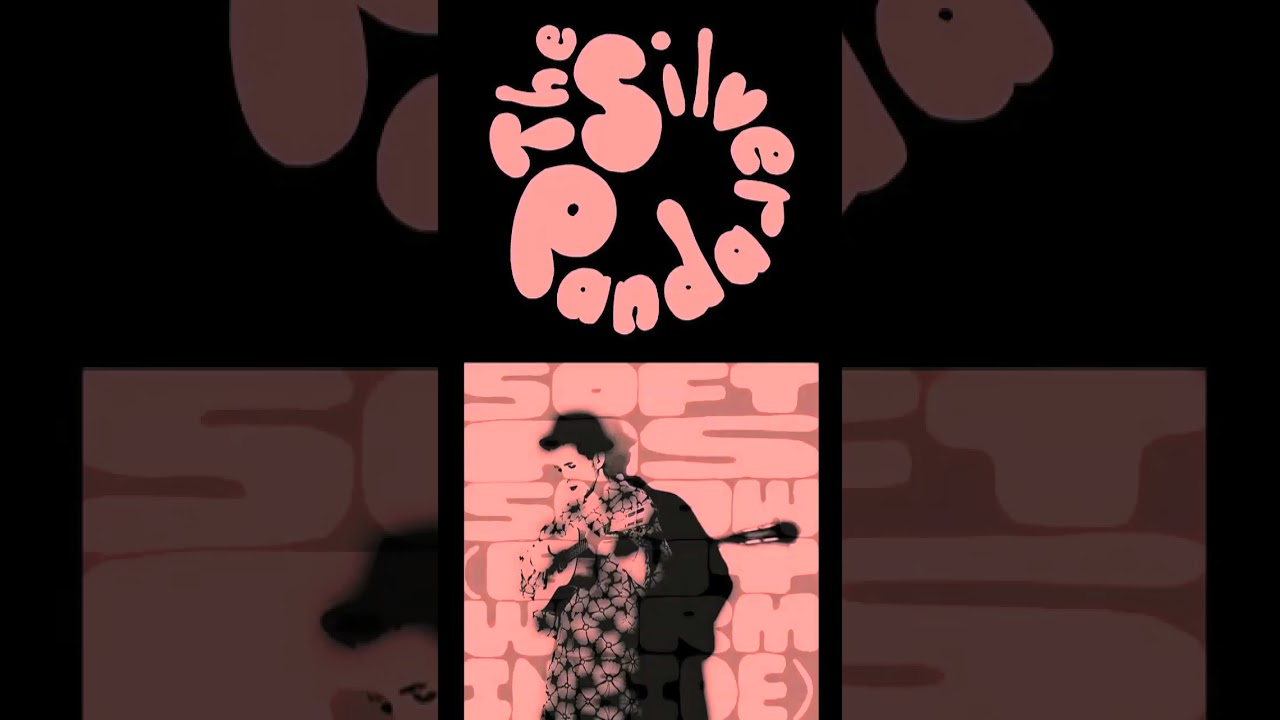 The Silver Panda - Soft As Snow (But Warm Inside) (MBV cover  - excerpt 01) 