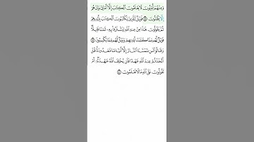 بسم الله الرحمن الرحيم سورة البقرة من 77 الى 80