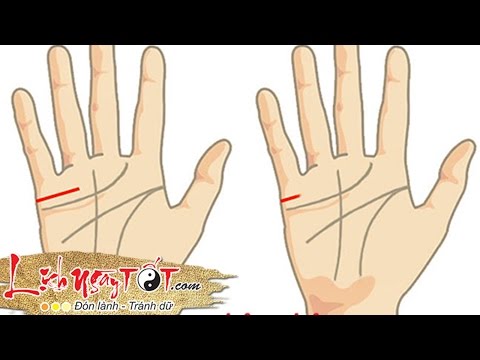Video Xem đường chỉ tay - 5 cách xem đường chỉ tay tình... - youtube