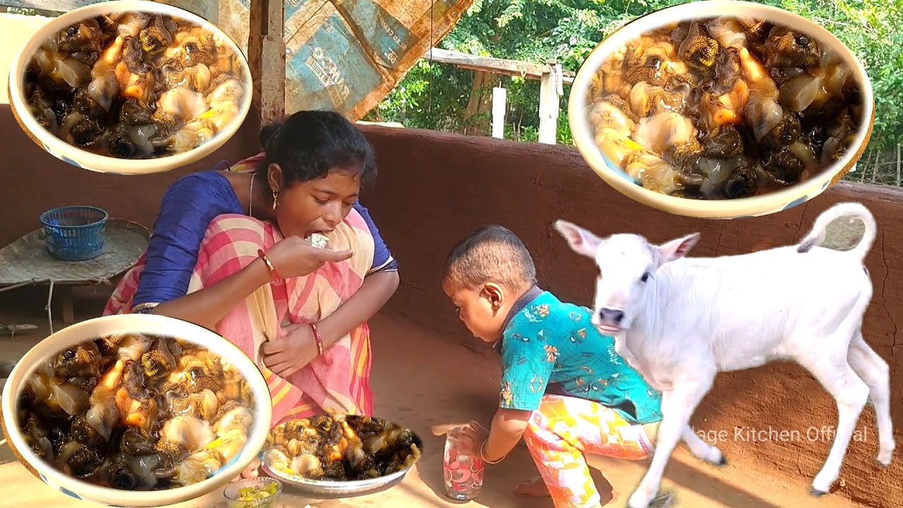 TINY SNAIL with pomato and ivy gourd curry recipe easy snail curry