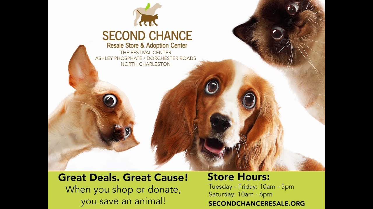 second chance adoption center