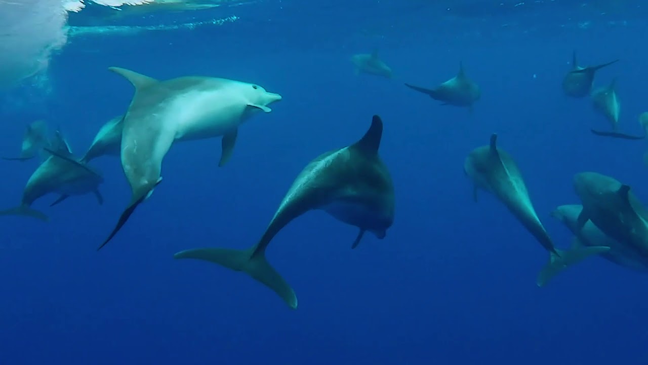The Tallest Sea Stack