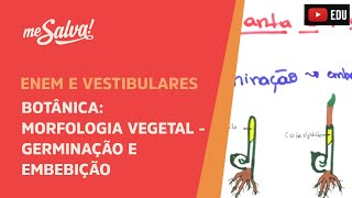 Me Salva! BOT36 - Botânica - Morfologia vegetal: germinação e embebição Me Salva! BOT36 - Botânica - Morfologia vegetal: germinação e embebição