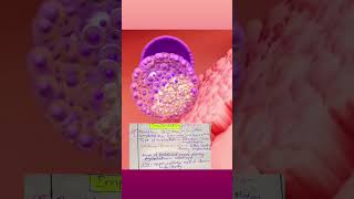 TRAVEL OF EMBRYO TO UTERINE CAVITY #shortsfeed #shortsvideo #youtubeshorts #nursing#shorts