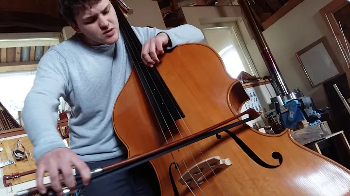 Simone Di Lalla playing a Ivan Appino double bass.