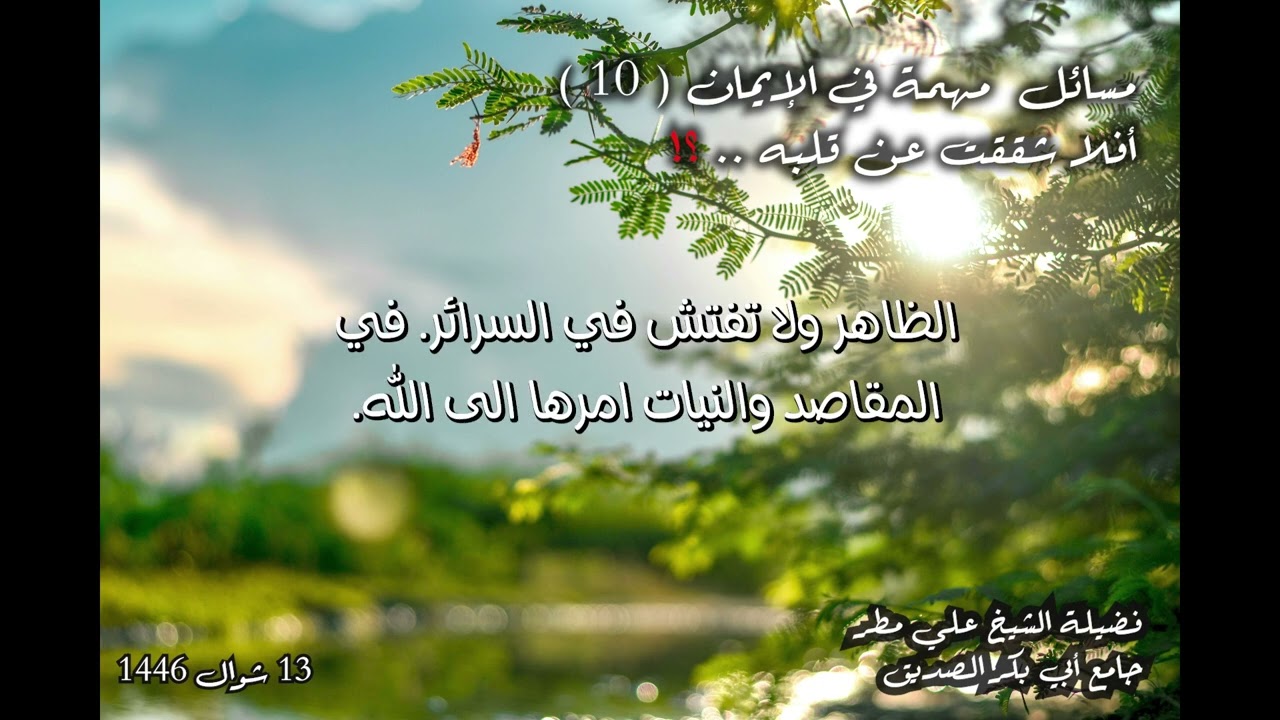 أفلا شققت عن قلبه    ؟