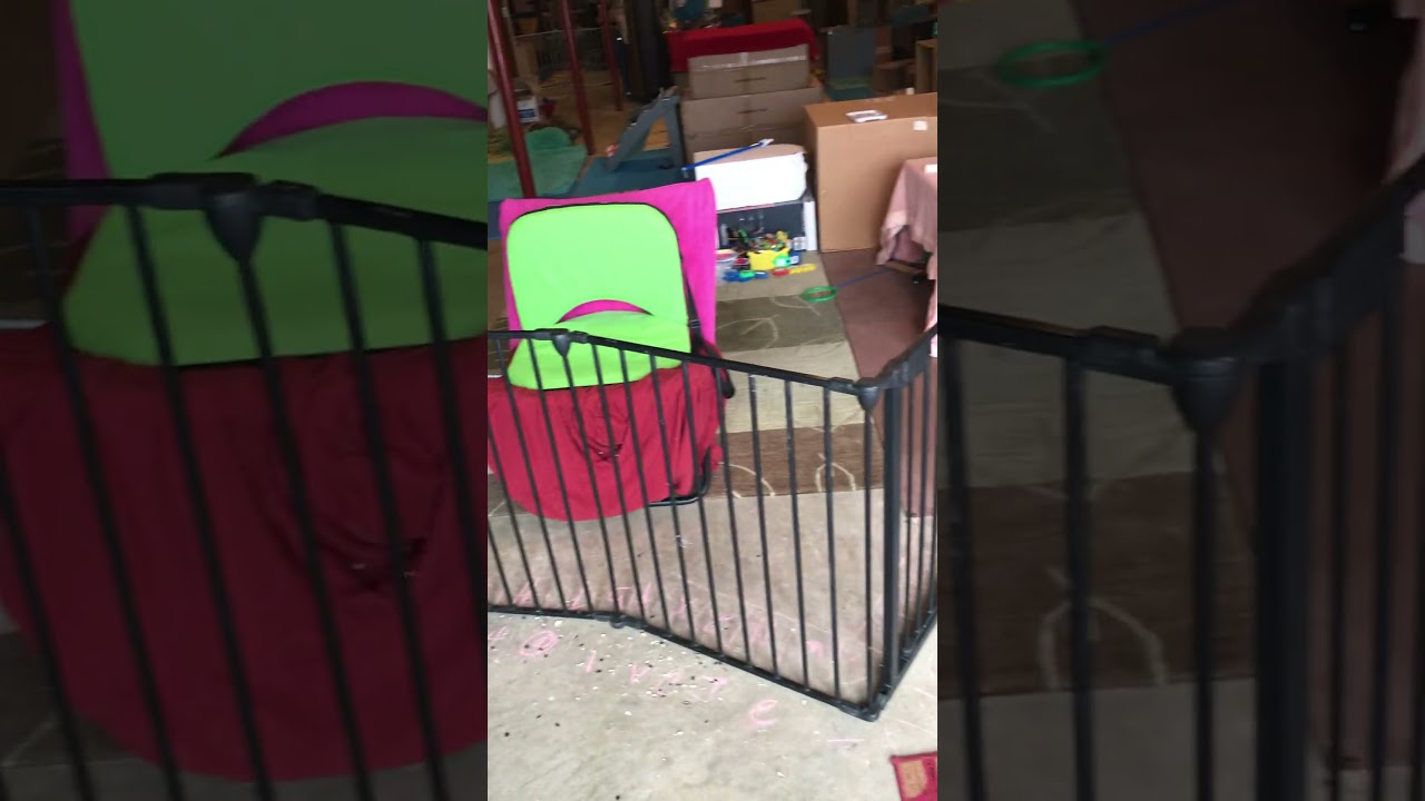 Какаду заманивает маму поиграть, пока она уходит кормить диких птиц.