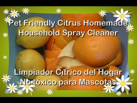 pet-friendly-citrus-household-cleaner-spray-recipe-/-limpiador-casero-mascotas