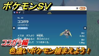 ポケモンｓｖ 色違いポケモンを捕まえよう ココガラ編 スカーレット バイオレット Youtube