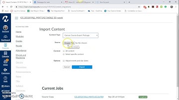 Import GPA Questionnaire