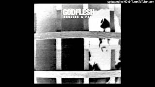 Godflesh - Decline &amp; Fall