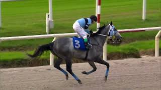 230507 c08 PEPSI ZERO