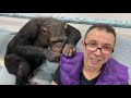 Пример как меня понимает обезьяна Боня | Дан Запашный и ночная сварка