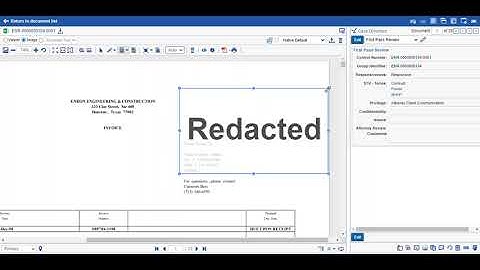 Ricoh Relativity Review:  Redactions