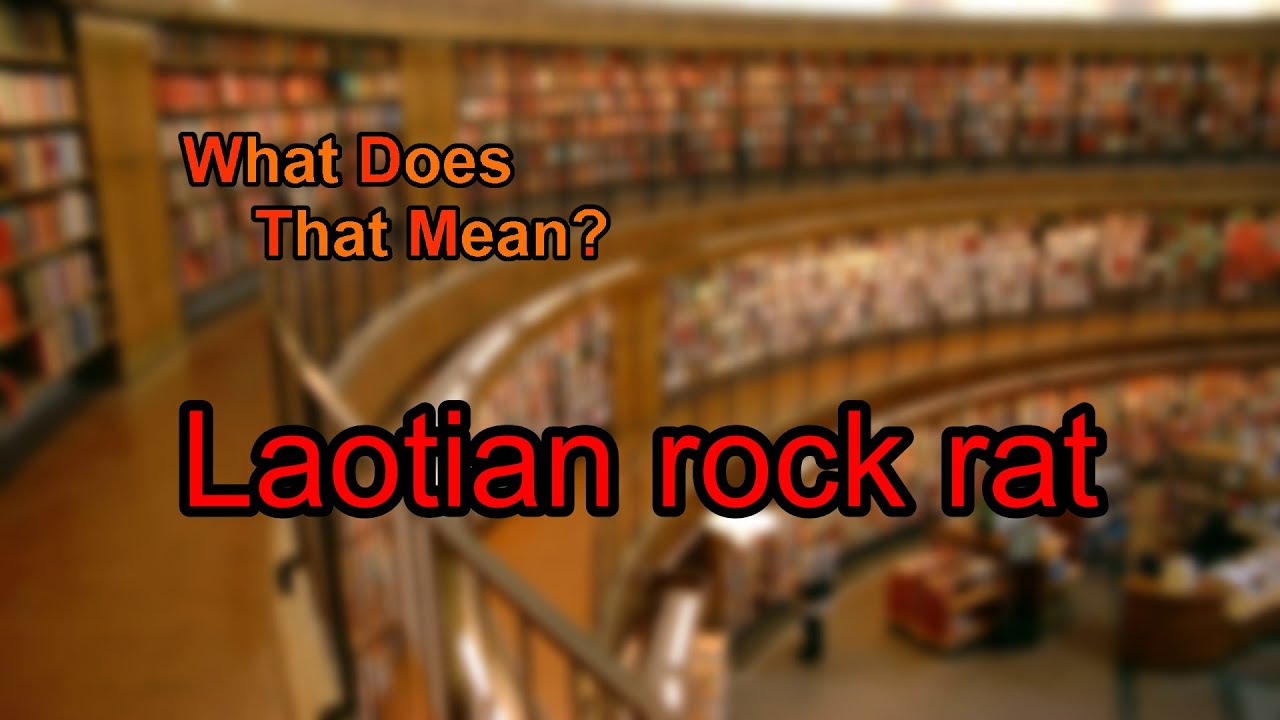 What Does Laotian Rock Rat Mean YouTube