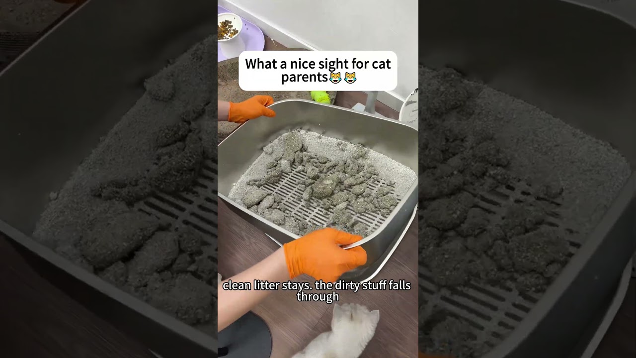 Fast & Easy XL Stainless Steel Sifting Litter Box | Clumping Litter