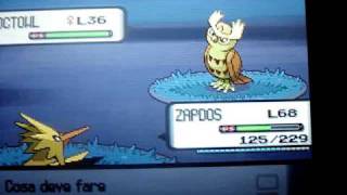 shiny chain / shiny Noctowl with pokeradar / Pokémon Pearl screenshot 5