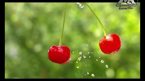 عندما بكى الشيخ المنشاوي وأبكى معه القلوب!! تلاوة في غاية الجمال سورة الحشر