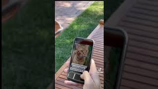 Cihan Albayrak Yeni Tiktok Videosu