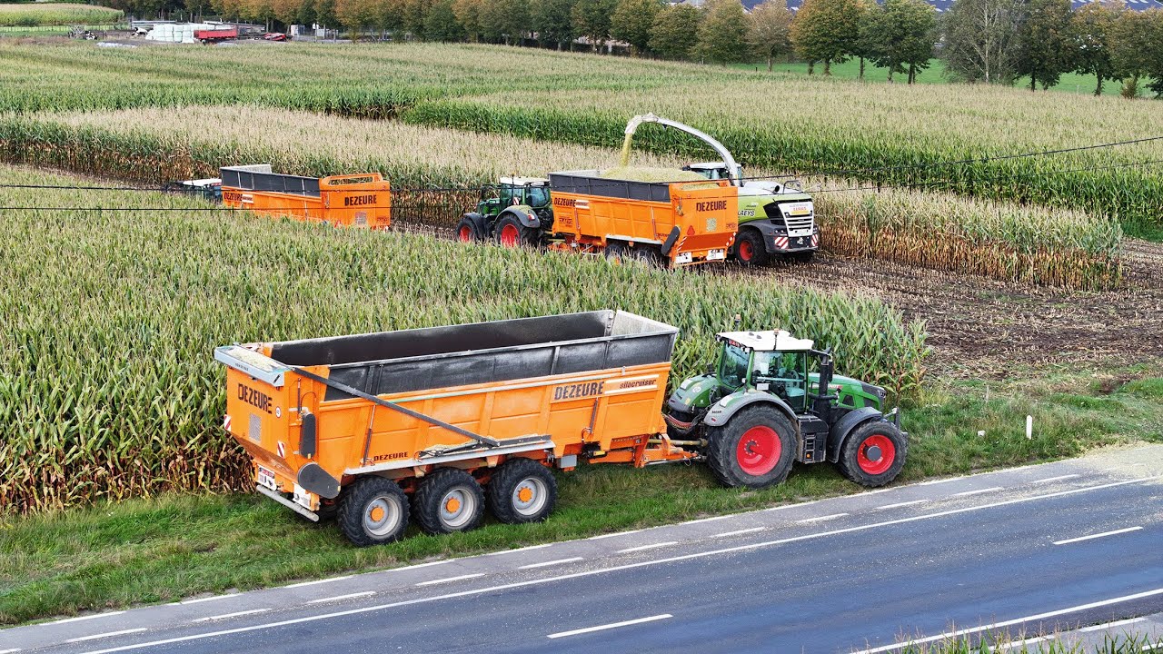 Maize Harvest | Claas Jaguar 970 | 2x Fendt 930 + Fendt 828 | BIG Transport | Dezeure Silocruiser