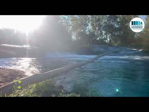 Momentos INCREÍBLES con la Naturaleza y Animales (Enviados por vosotros) | La Creación 3