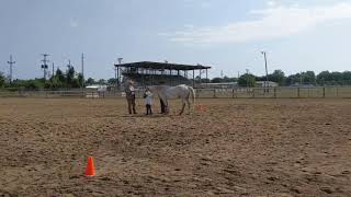 Sakaras first showmanship class Kalamazoo fair 2019 by Jade Skywalker 4 views 3 years ago 47 seconds