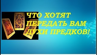 Что хотят передать Вам духи предков! Тиана Таро .Прогнозы и предсказания
