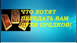 Что хотят передать Вам духи предков! Тиана Таро .Прогнозы и предсказания