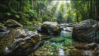 Peaceful Flowing River Sounds | Nature White Noise Ambience