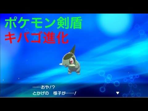 ポケモン剣盾 とかげ キバゴ が進化しました Pokemon Sword Shield Youtube