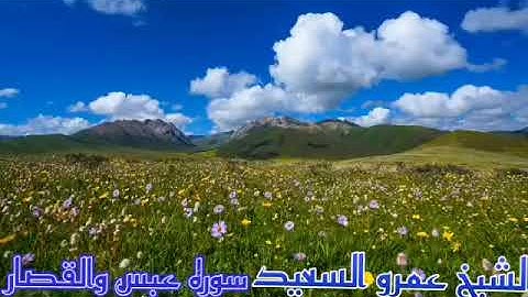 الشيخ عمرو السعيد القارئ بجمهورية مصر العربية ما تيسر من سوره عبس وتولي والقصار