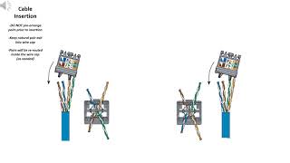 Understanding TG Straight Wire Caps Pair Routing - Module 0C