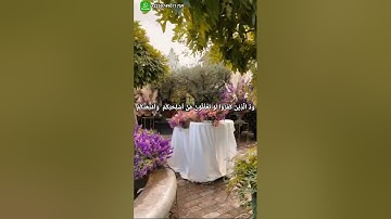 آيات صلاة الخوف