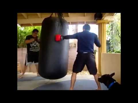500 pound punching bag
