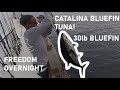 Offshore bluefin tuna fishing  freedom sportfishing 22nd street landing  overnight fishing 2020