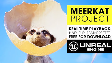 Unreal Engine 4.26 Hair, Fur & Feathers ~ Meerkat Short Film Project Testing