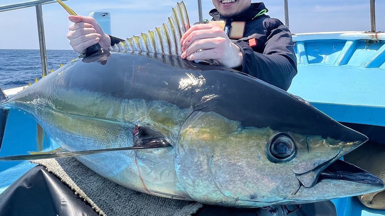 玄界灘でヒラマサキャスティング！キハダマグロも！2泊3日船中泊