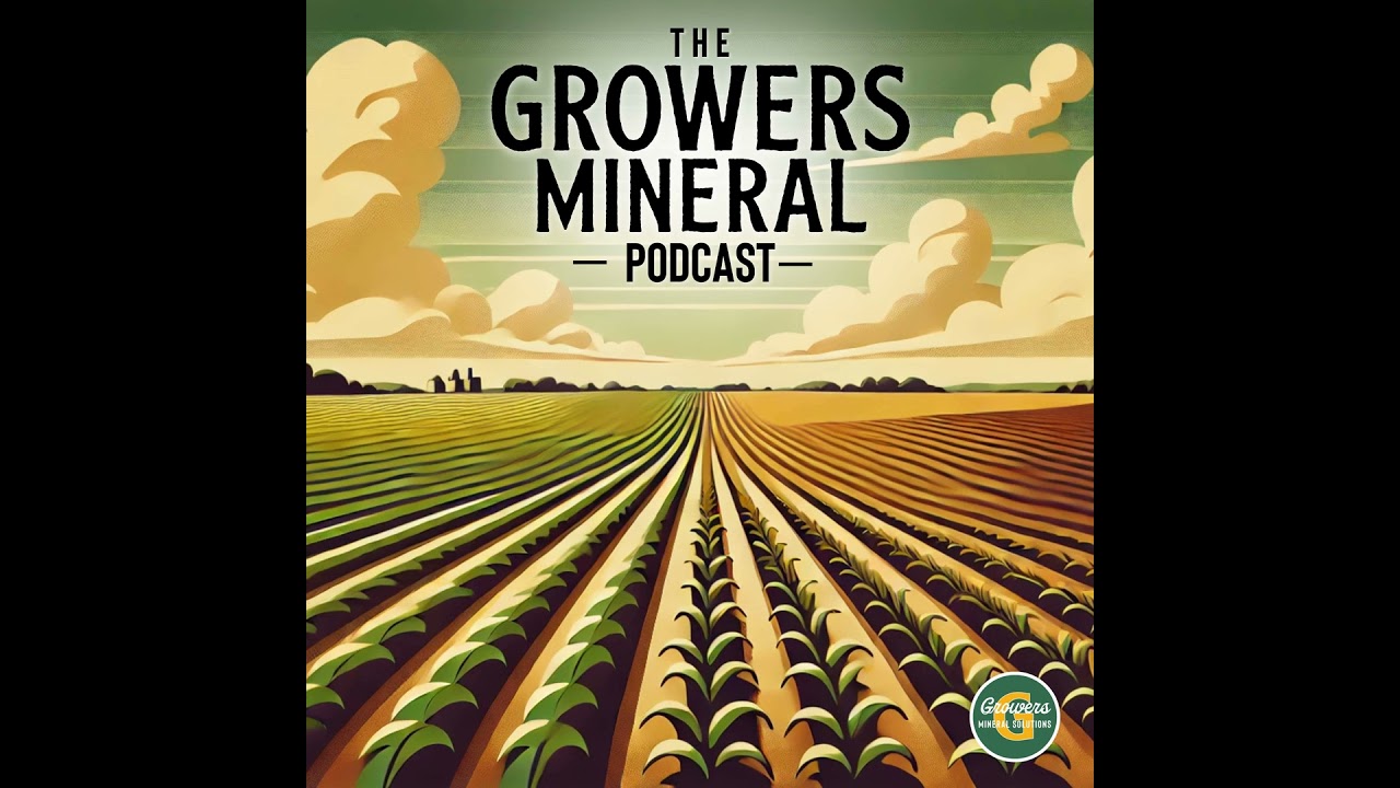 Conference Call: October 2025