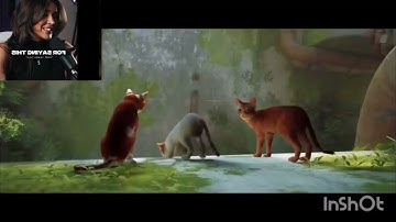 CUTEST GAME EVER MADE | STRAY Part-1 