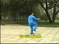 陳式太極拳競賽套路56式 武冬