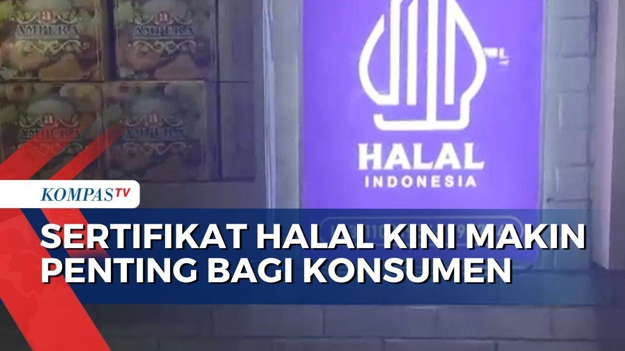 Pih Halal Sertifikat Halal Jadi Prioritas Konsumen, BPJPH Dorong Pengusaha Lokal ...