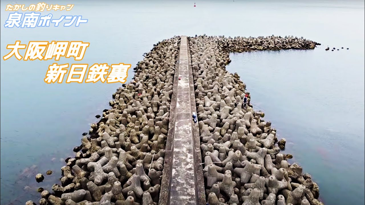 大阪岬町 新日鉄裏の防波堤の紹介! イルカと会えるかも！！ - YouTube