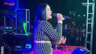 CAMELIA MUSIC - IDAMAN HATI - SELLY PRAWOTO - WEDDING AFIF & RESTI KRAPYAK TAHUNAN JEPARA