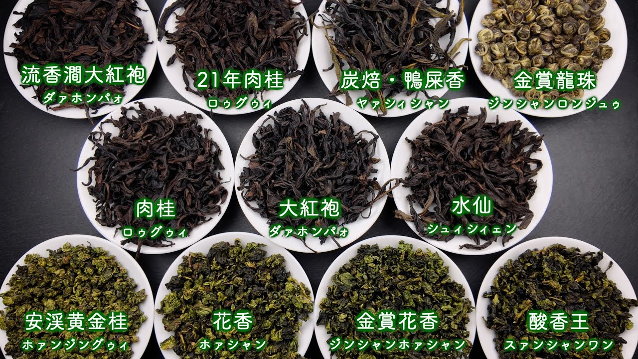 プロ視点で解説】2024年11月 中国茶OMAKASE11種類の茶葉を一つずつ紹介