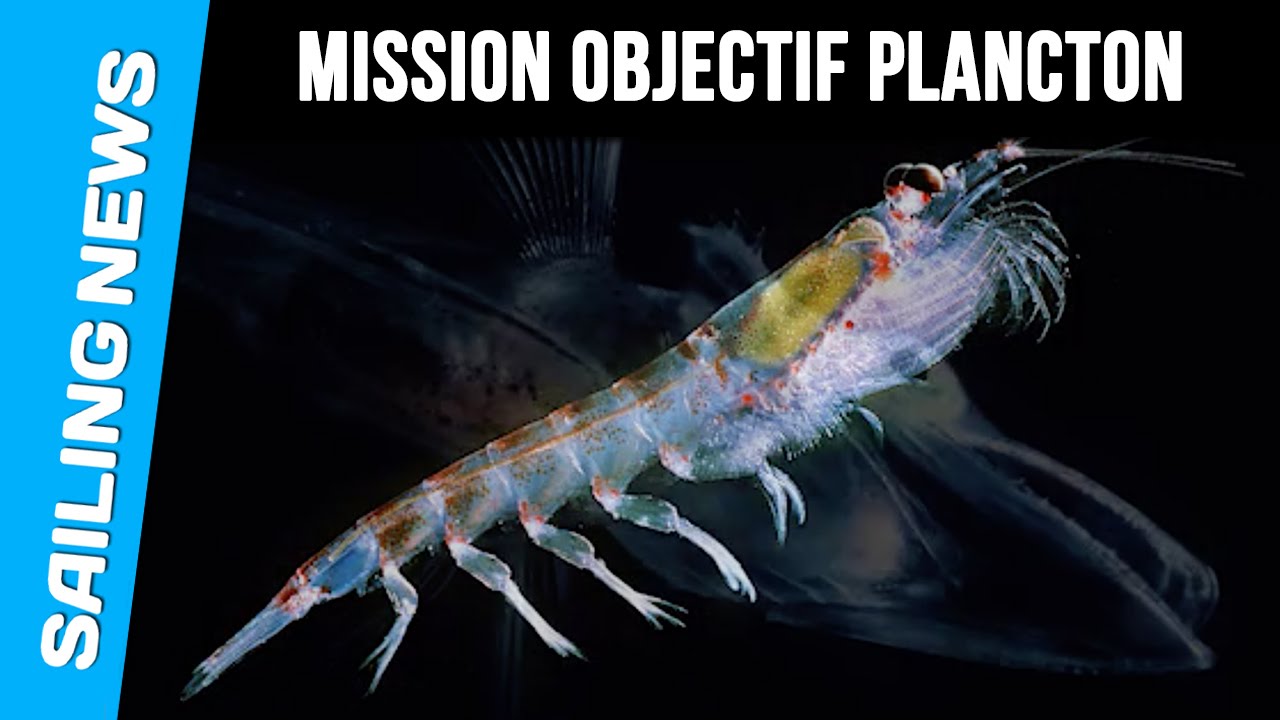 Mission Objectif Plancton à bord de la Cardinale - Objectif Grand Sud