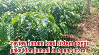 Download Lagu review klon jumani di.lampung utara mdpl 93 MP3