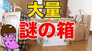 【グロ注意】大量の謎の箱を開封したらエグいのが出てきた！