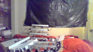 Da Camo Light Show Pt 2 LOL