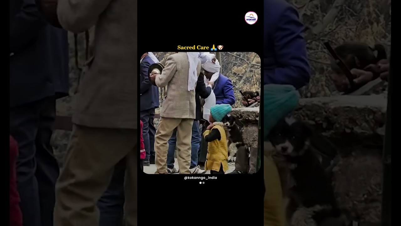 Young Boy Carries a Street Puppy on His Back at a Temple | Pure Devotion 